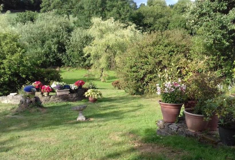 Hills Farm B&b Laugharne