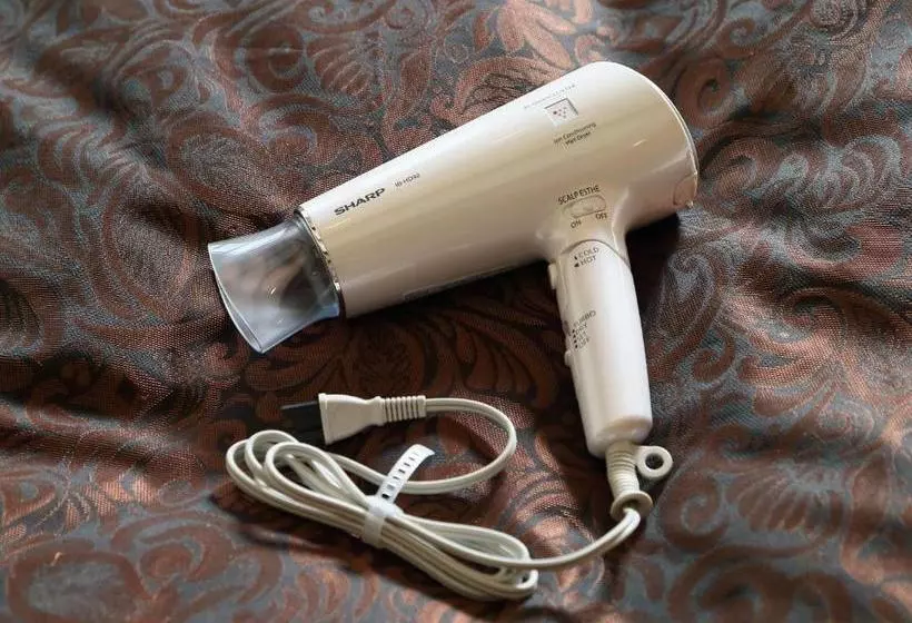 Hotelli Fine Izumo Airport