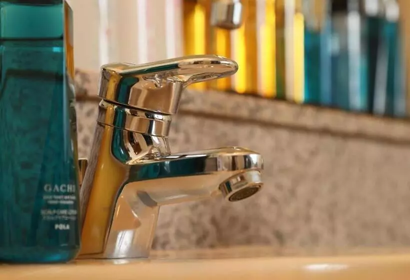 Hotelli Fine Izumo Airport