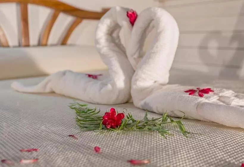 هتل Hacienda Tijax Jungle Logde