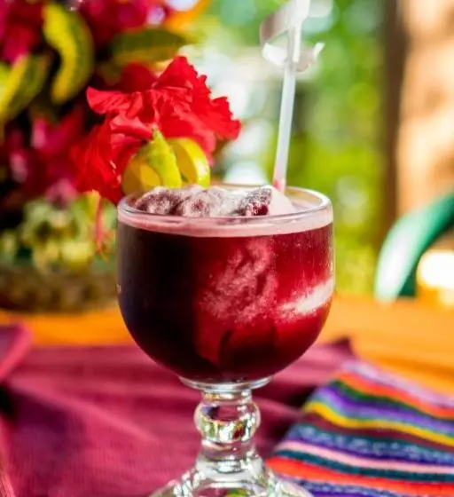 هتل Hacienda Tijax Jungle Logde