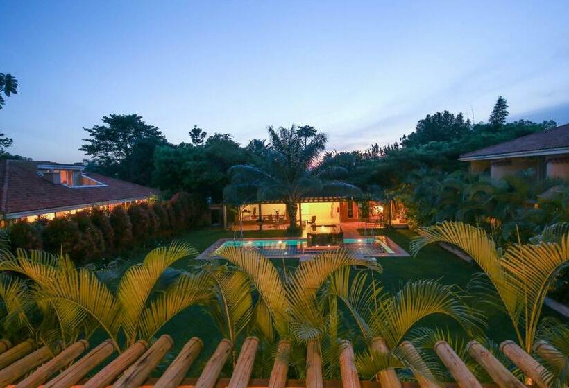 No 5 Boutique Hotel Limited