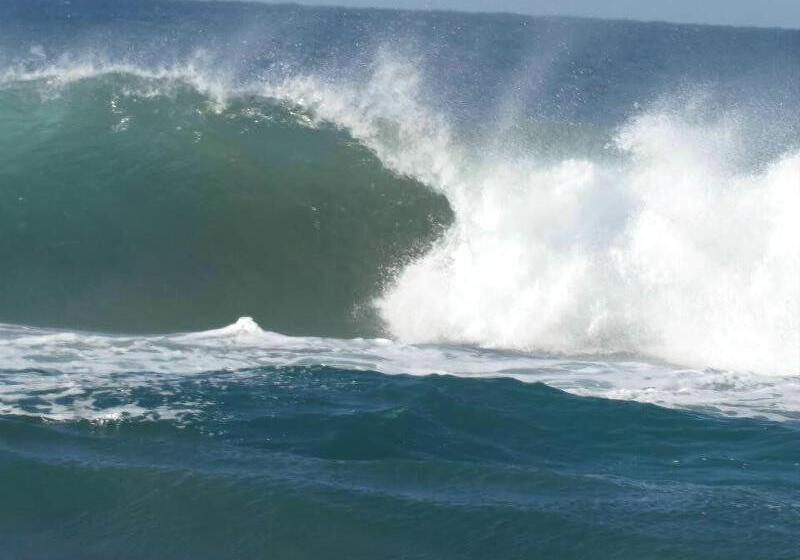 פנסיון St Lucia Livingston Lodge