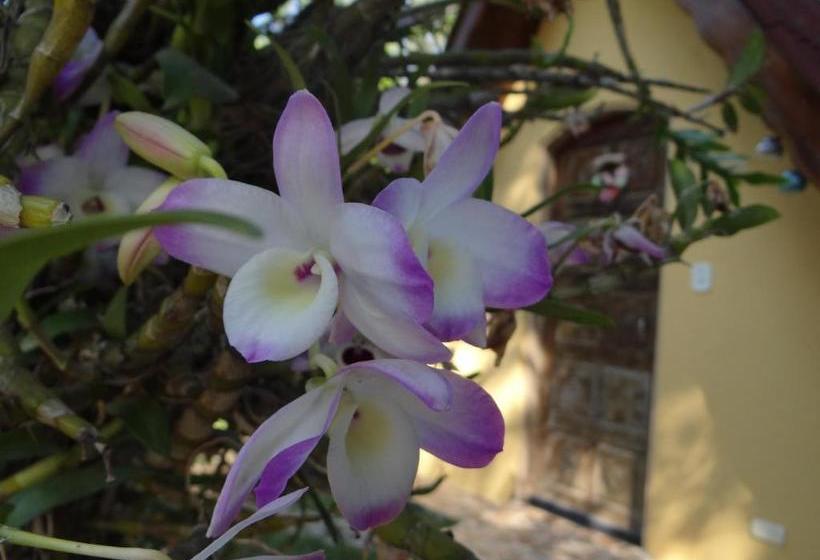 Bed & Breakfast Chalé Rancho Aratama