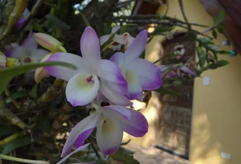 Aamiaismajoitus (B&B) Chalé Rancho Aratama