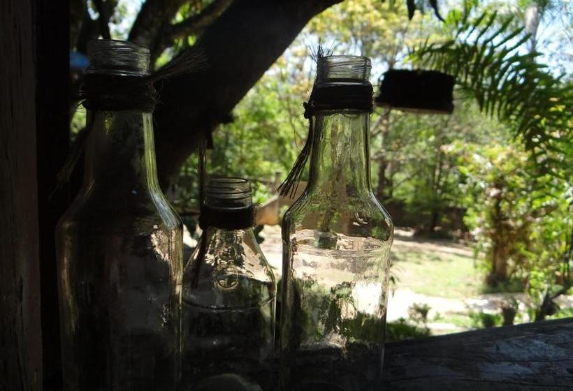 Bed & Breakfast Chalé Rancho Aratama