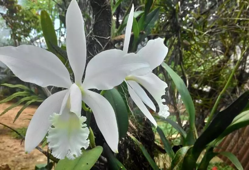 Aamiaismajoitus (B&B) Chalé Rancho Aratama