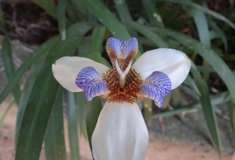 Bed & Breakfast Chalé Rancho Aratama