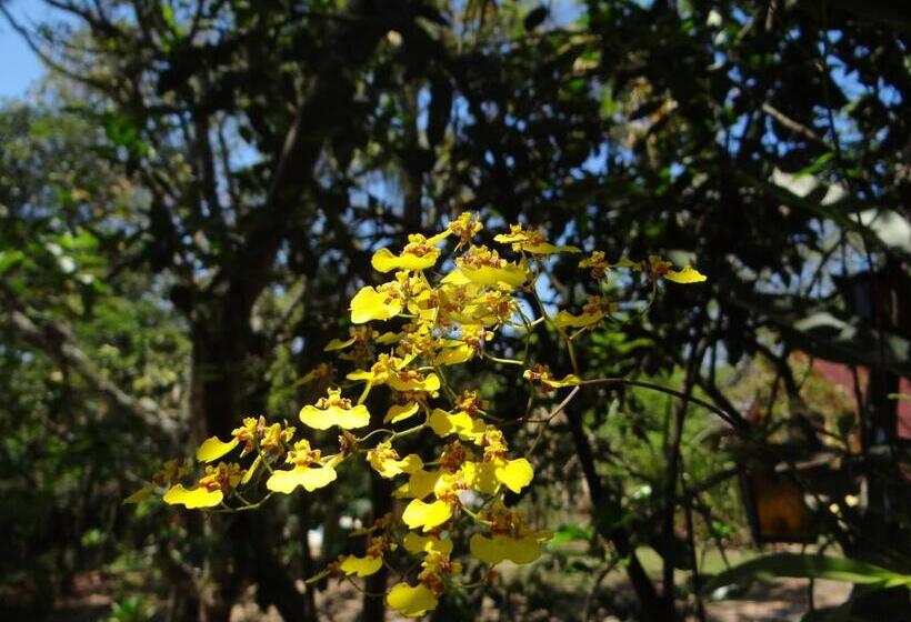 Bed & Breakfast Chalé Rancho Aratama