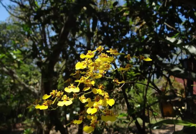 Aamiaismajoitus (B&B) Chalé Rancho Aratama