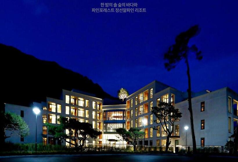 فندق Pine Forest Jeongseon Alpine Resort