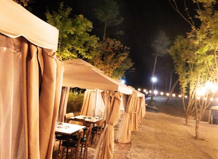 فندق Pine Forest Jeongseon Alpine Resort