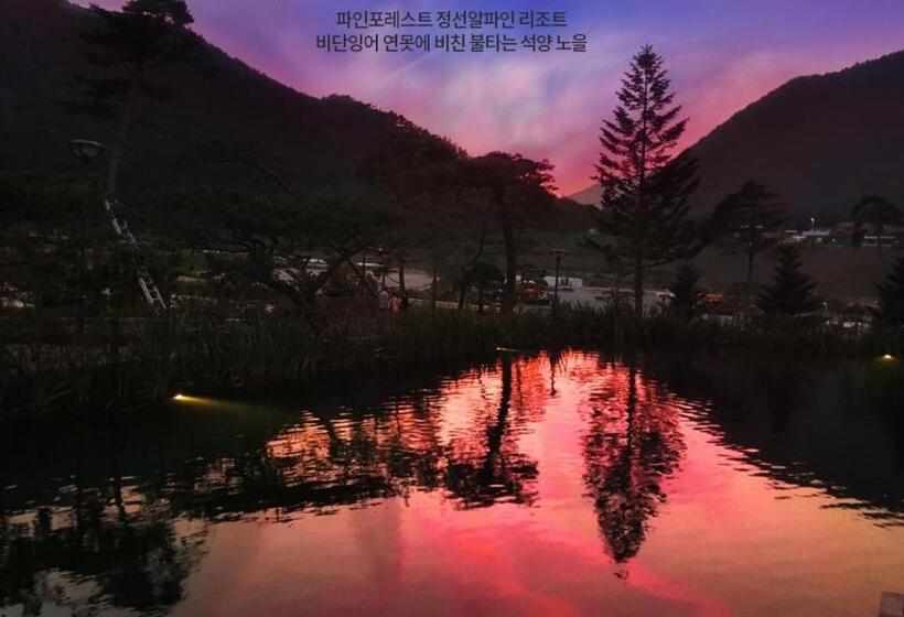 فندق Pine Forest Jeongseon Alpine Resort