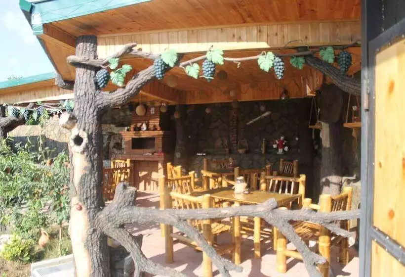 هاستل Villa Edemi