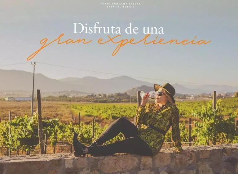 Retkeilymaja Vinos Xecué