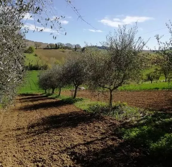 B&b Magalù