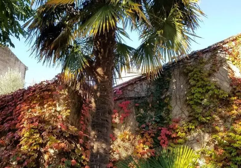 تختخواب و صبحانه La Maison Blanche