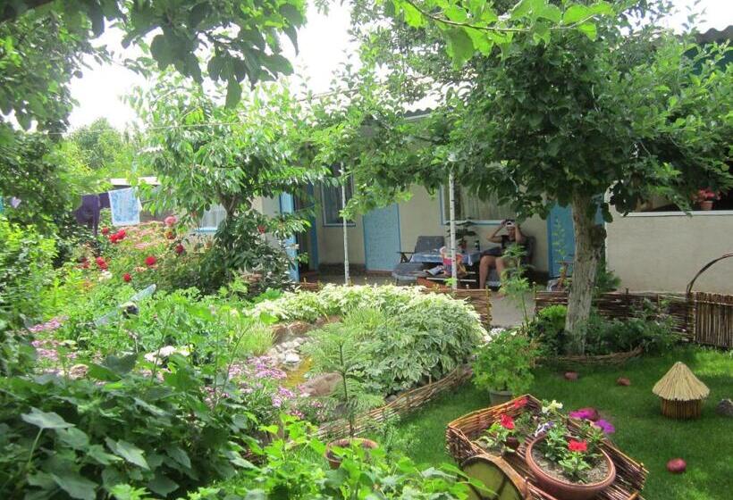 پانسیون Olga Guest House