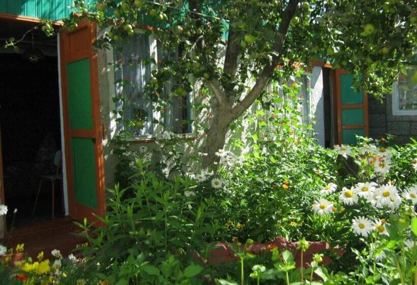 پانسیون Olga Guest House