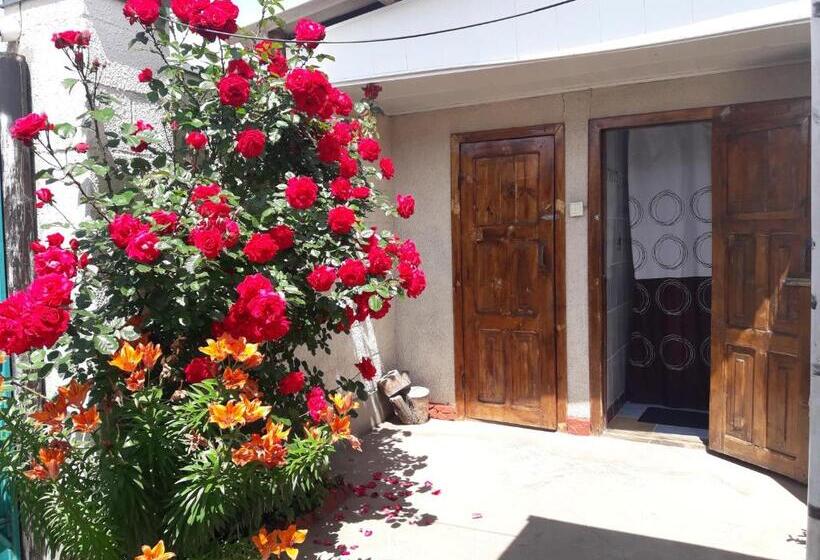 پانسیون Olga Guest House