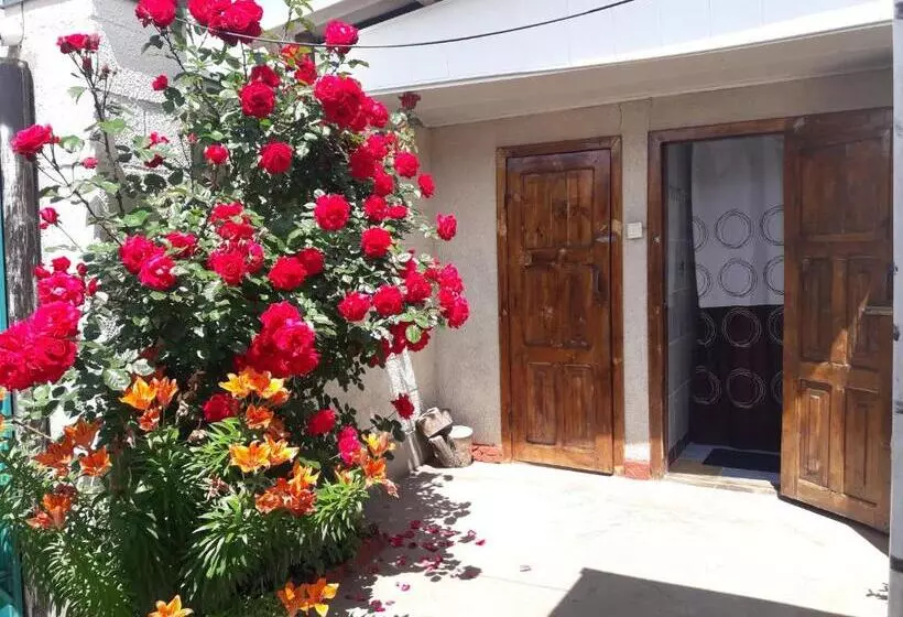 پانسیون Olga Guest House