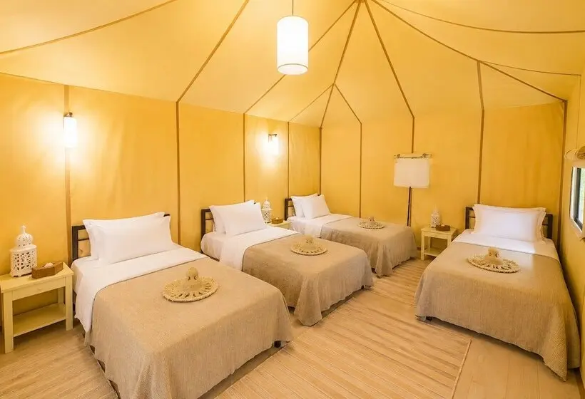 ベッドアンドブレックファースト Chebbi Luxury Tented