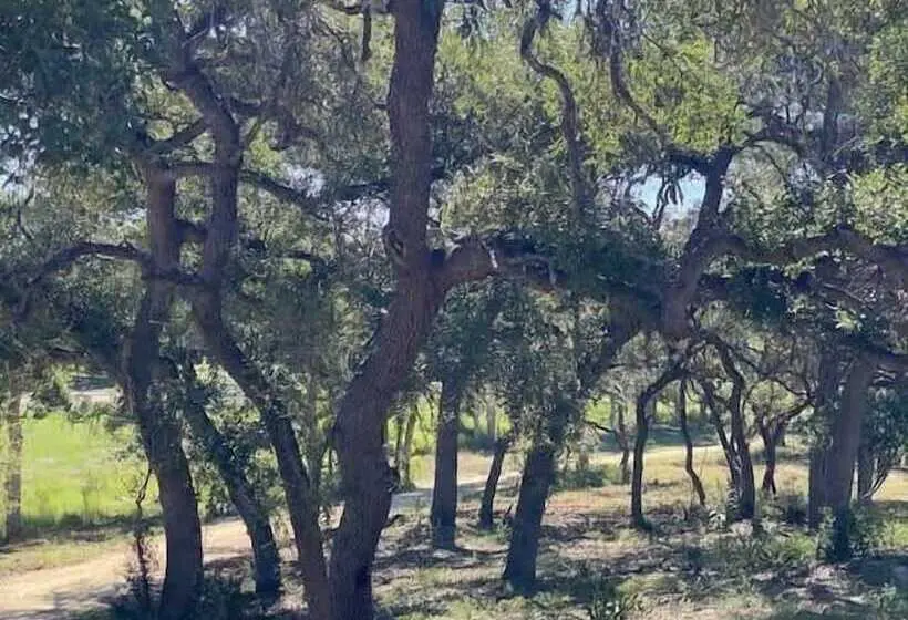 Hill Country Cabin 4