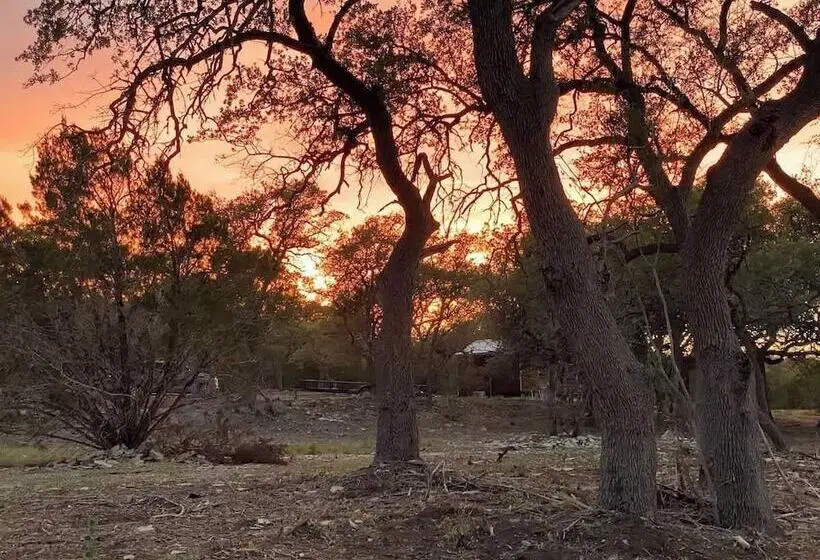 Hill Country Cabin 4
