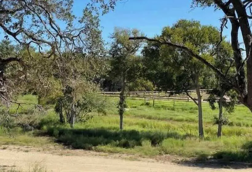 Hill Country Cabin 4