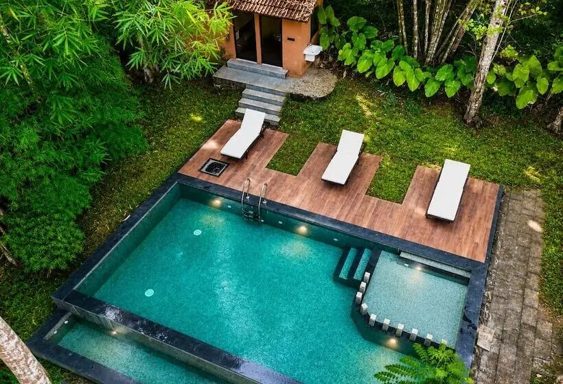 Lomakeskus Amritara Dominic S Nature Retreat & Spa Wayanad