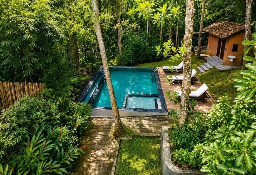 Lomakeskus Amritara Dominic S Nature Retreat & Spa Wayanad