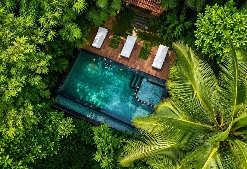 Lomakeskus Amritara Dominic S Nature Retreat & Spa Wayanad