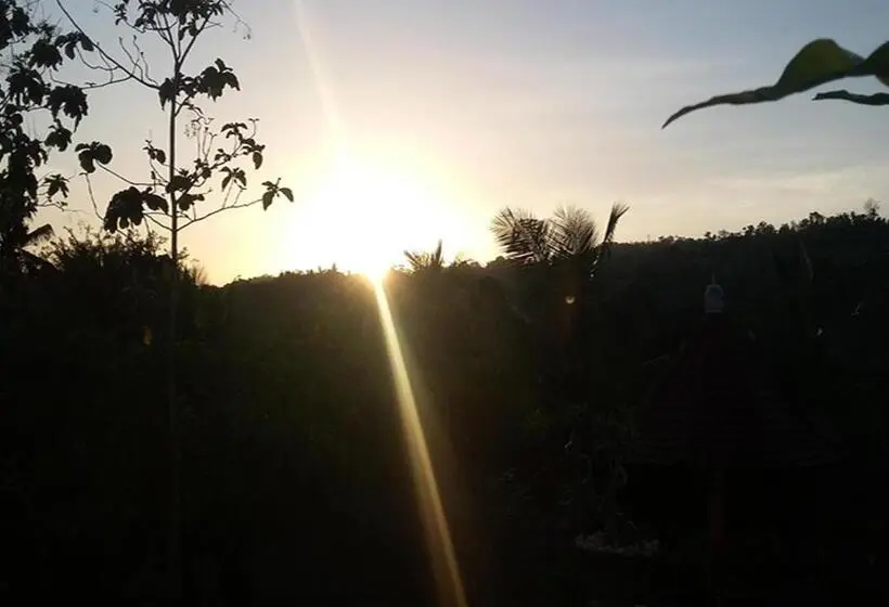 ホテル Sebrang Hills Bungalow