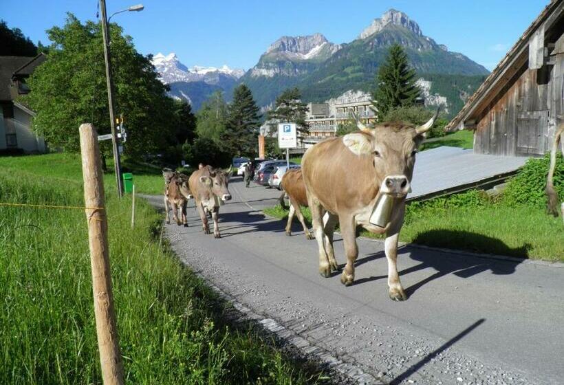 B&b Hotel Mattli übernachtung Frühstück