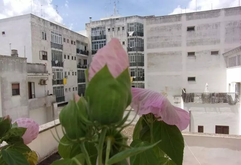 تختخواب و صبحانه La Fontanella