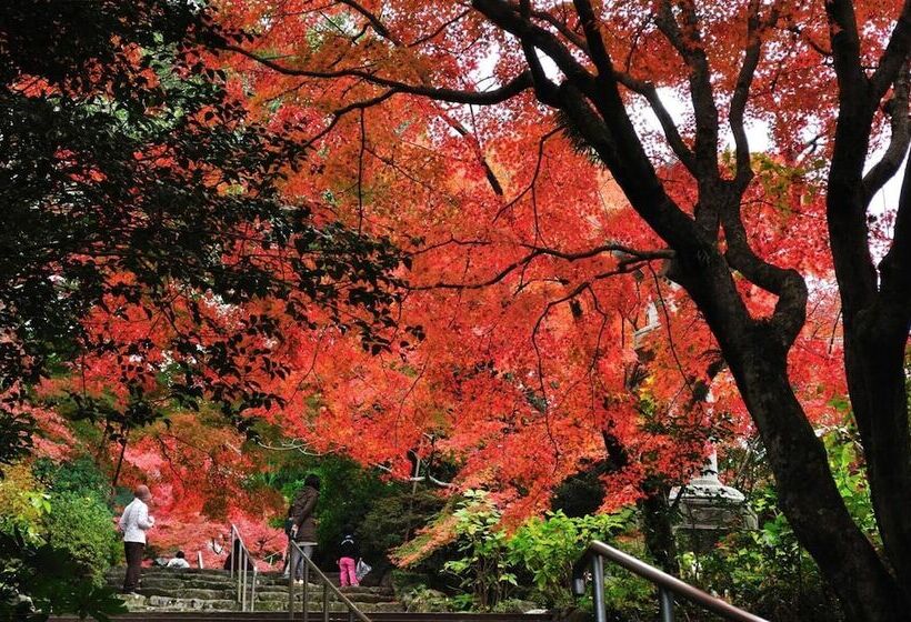 ホテル Hulaton Fukuokahakata