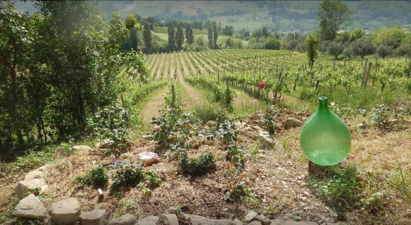 فندق Vigna Della Ripa