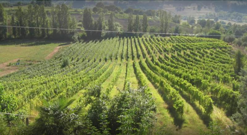 فندق Vigna Della Ripa