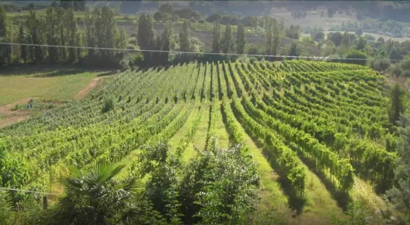 ホテル Vigna Della Ripa