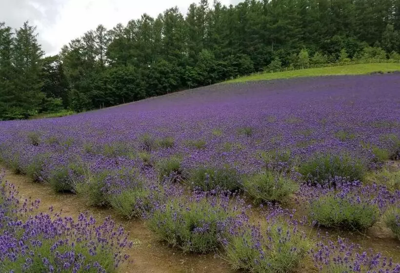 ペンション Furano Mount Villa