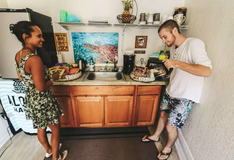 Central Maui Hostel