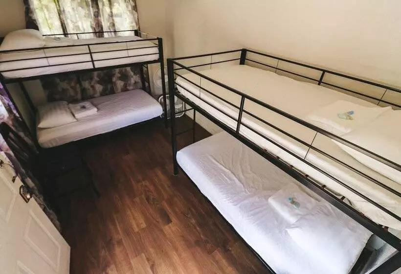 Central Maui Hostel