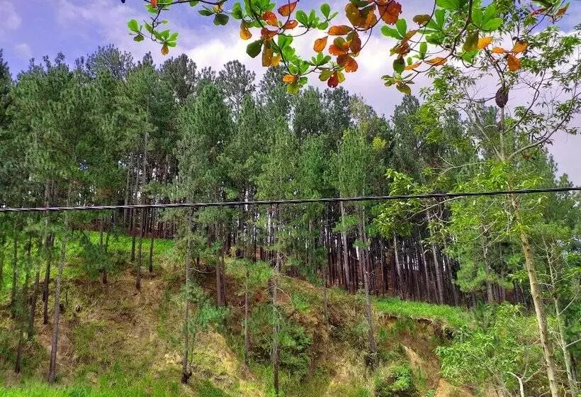 ペンション Silver Dome Guest House