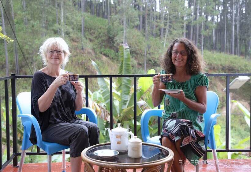 Pansiyon Silver Dome Guest House