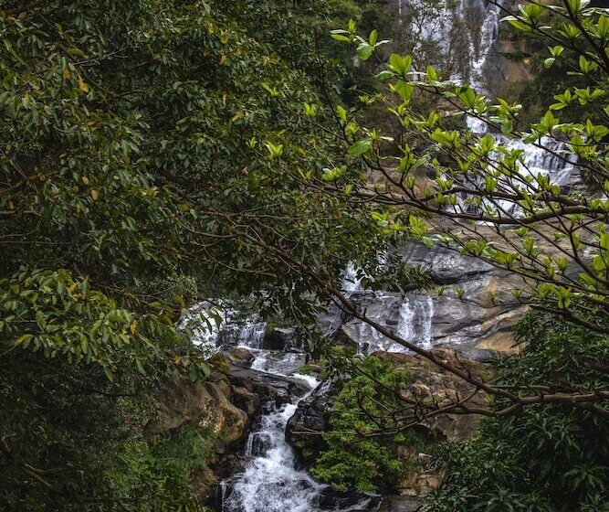 Pansiyon Silver Dome Guest House