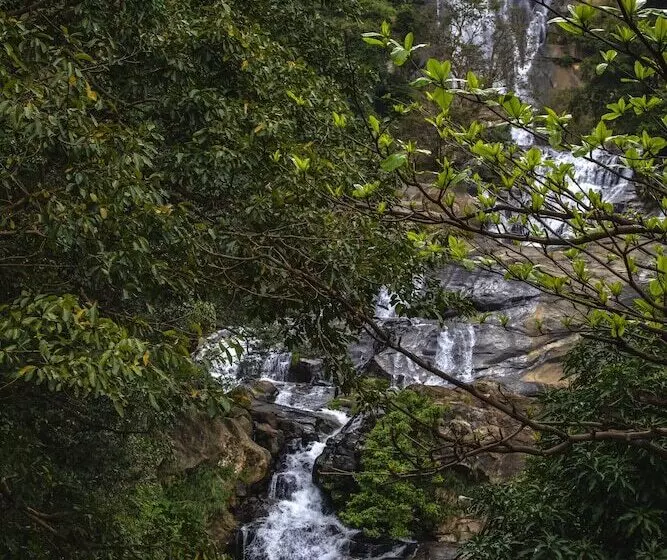 ペンション Silver Dome Guest House