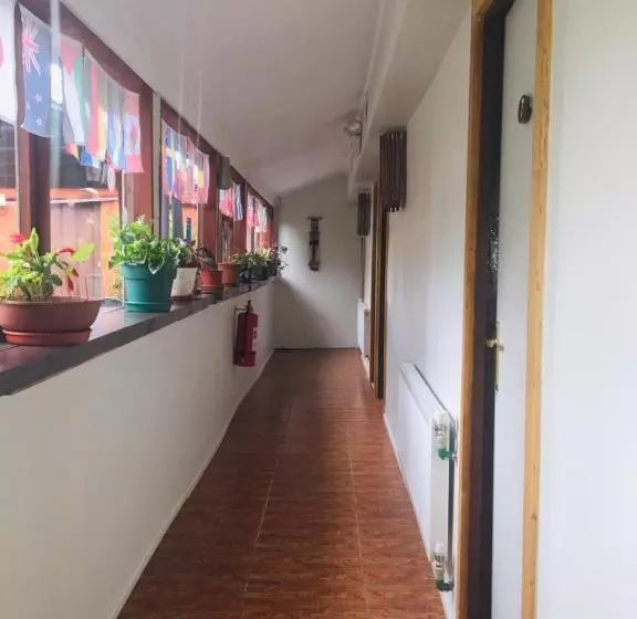 پانسیون Hostal Irma