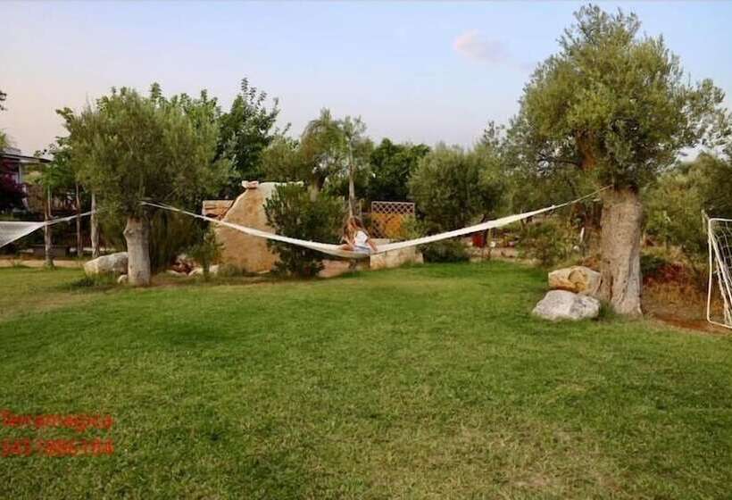 Panzió Terra Magica