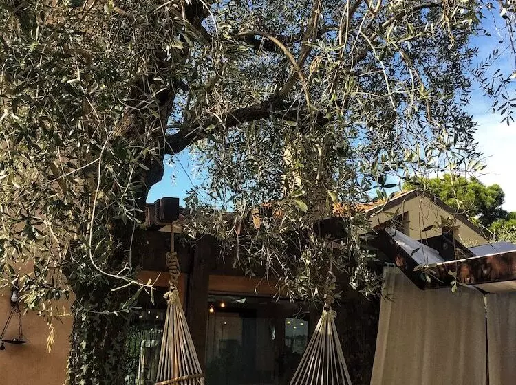 Aamiaismajoitus (B&B) Il Giardino Segreto