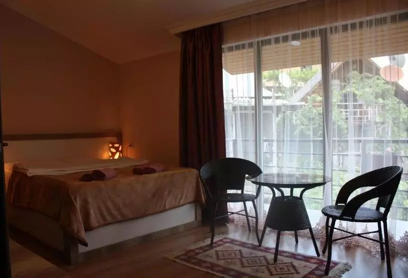 پانسیون Sunny Days Borjomi